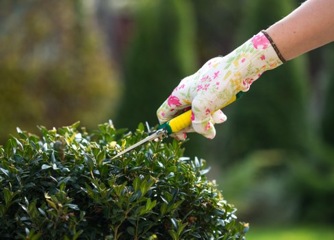 Customer submitting a landscaping issue with supporting photographs