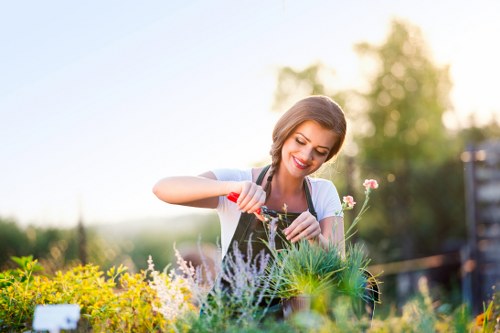 Soft landscaping project with lawn and planting beds in Woodgreen
