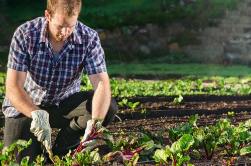 Local garden landscaping project planning in Woodgreen