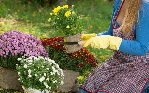 Fresh landscaping and lawn improvement as part of a Woodgreen garden makeover