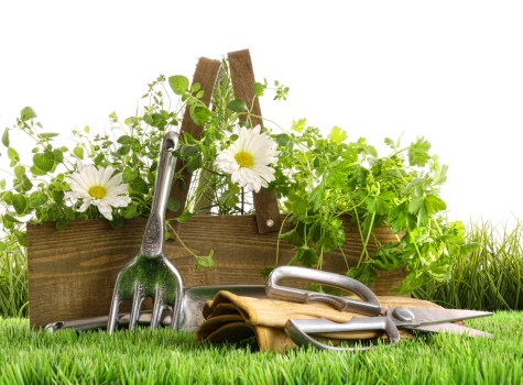 Local garden construction work in Woodgreen