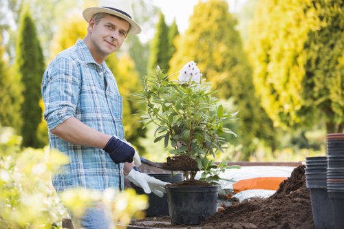 Reusable plants and timber being prepared for charity donation