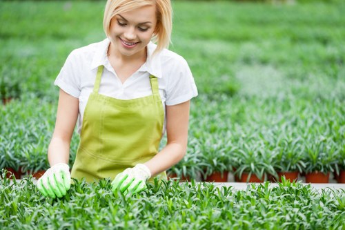 Screen-reader friendly landscaping website content illustration