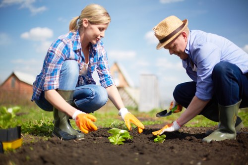 Patio, planting, and hard landscaping features for a Woodgreen garden