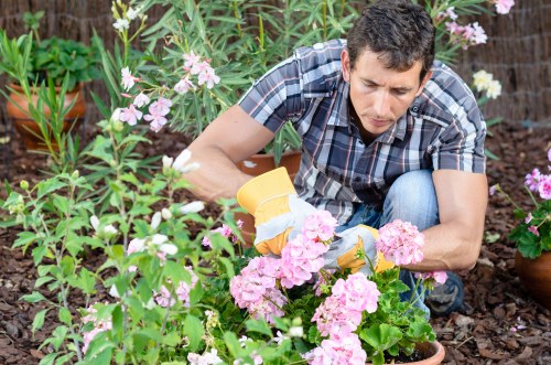 Landscaping staff following safe working procedures on site